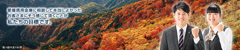 瓶ヶ森林道の秋景