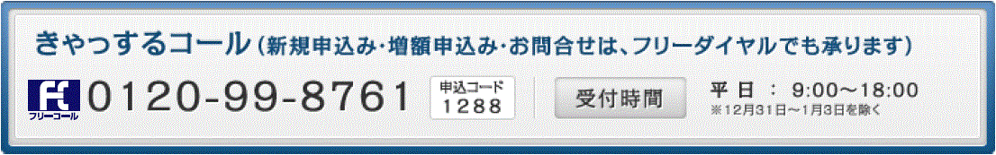 しんきんきゃっする 信金ギャランティの保証 カードローン お金を借りる 個人のお客様 さがみ信用金庫