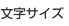 文字サイズの変更