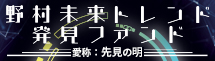 野村未来トレンド発見ファンドBコース（為替ヘッジなし）愛称：先見の明