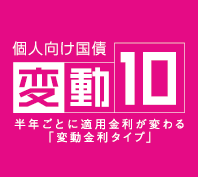 個人向け国際「変動10」