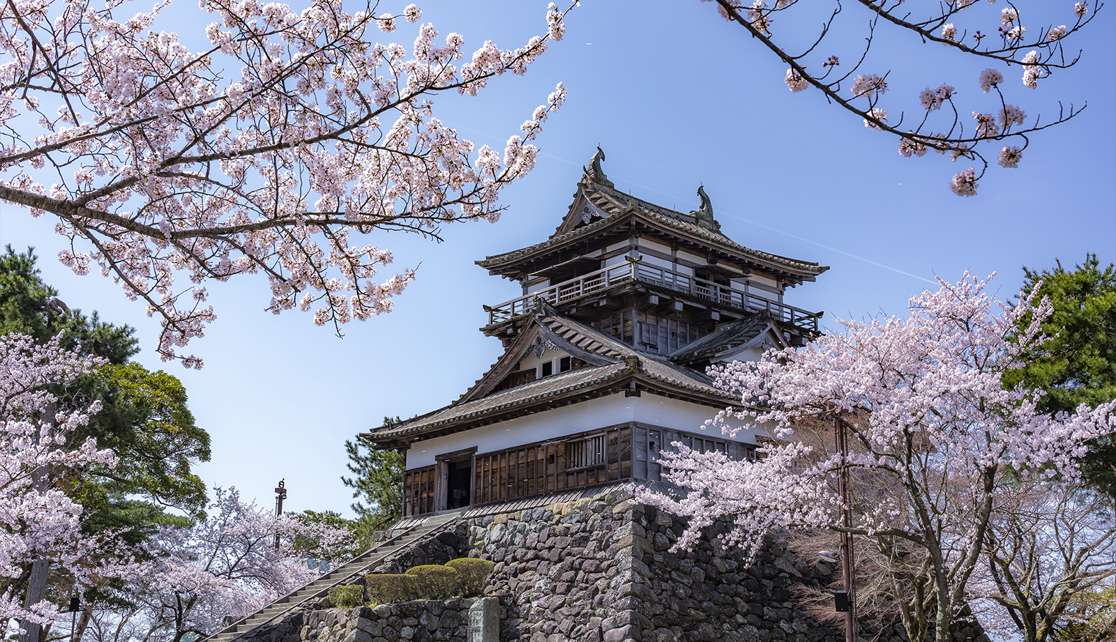 丸岡城（坂井市）