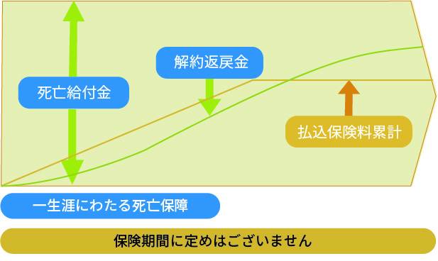 イメージ図