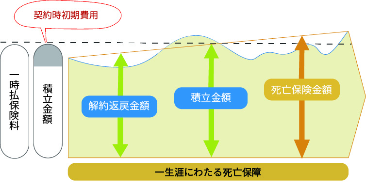 イメージ図