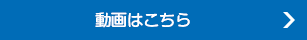 動画はこちら