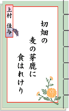 �o��̐��E ��17���� �y�����낵���S����