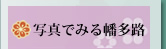 �ʐ^�ł݂锦���H