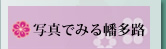 �ʐ^�ł݂锦���H