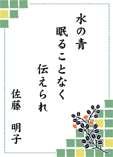 ����̐��E ��7���� ���ۃ\���v�`�~�X�g������