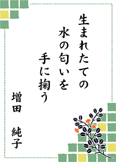 ����̐��E ��13���� ����