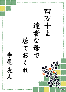 ����̐��E ��14�����i �l���\���C�I���Y�N���u��