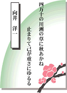 �Z�̂̐��E ��14����  �y�����낵���S����