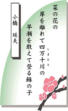�Z�̂̐��E ��20���� �y�����낵���S����