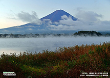 2024年平塚信用金庫富士山カレンダー