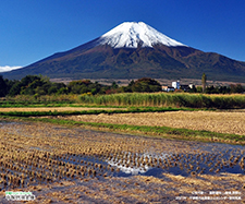 2021年平塚信用金庫富士山カレンダー