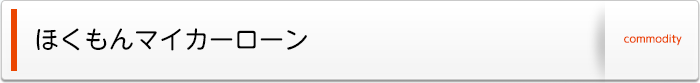 ほくもんマイカーローン