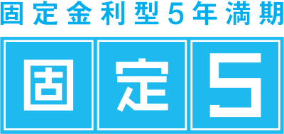 固定5