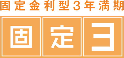 固定3