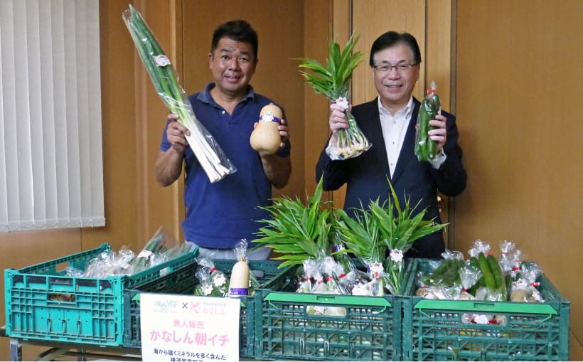 かなしん朝一で野菜を紹介している画像