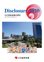 Disclosure 2020