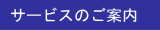 �T�[�r�X�̂��ē�