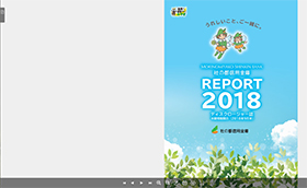 2018年半期ディスクロージャー【平成30年9月末】