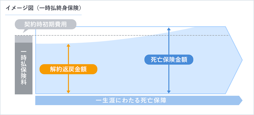 イメージ図（一時払終身保険）