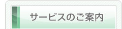 �T�[�r�X�̂��ē�