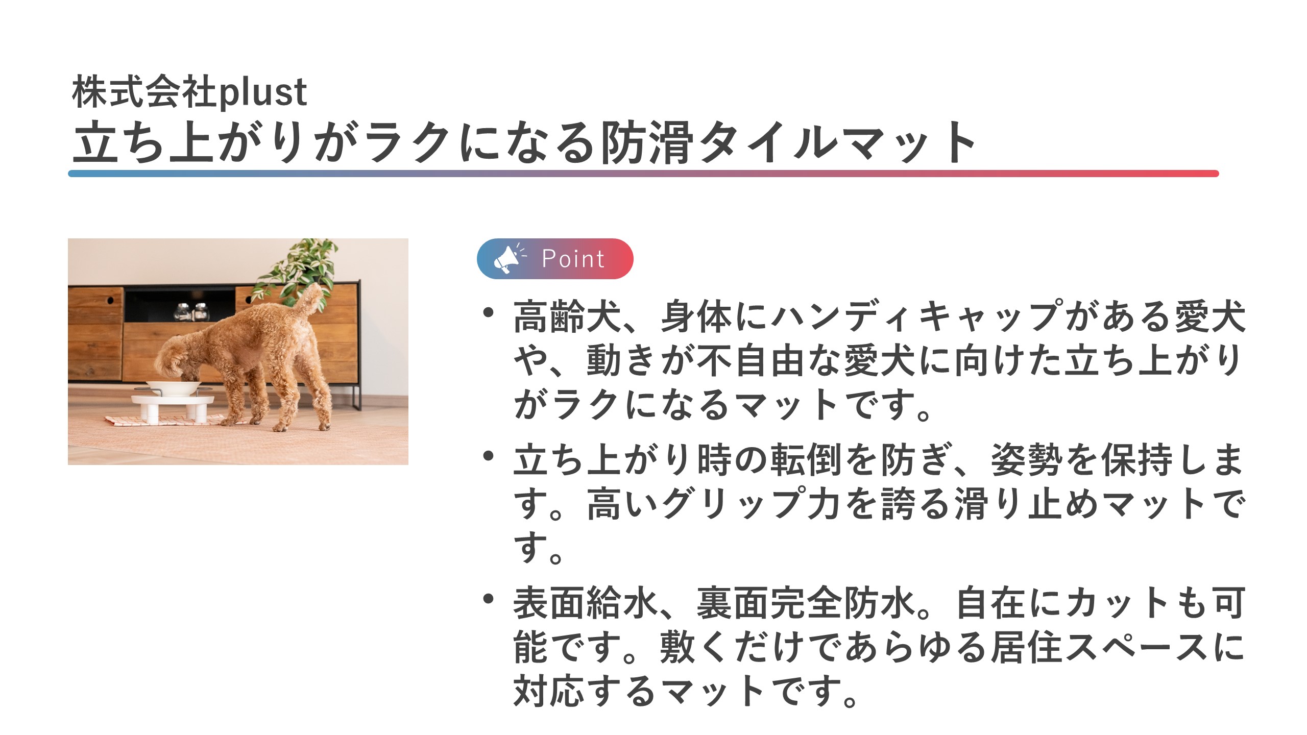 株式会社plust