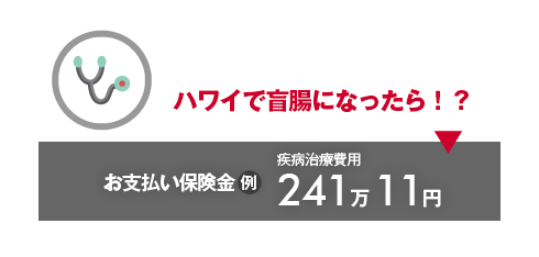 ハワイで盲腸になったら！？