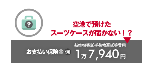 空港で預けたスーツケースが届かない！？