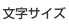 文字サイズの変更