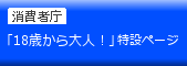 消費者庁 18歳は大人！特設ページ