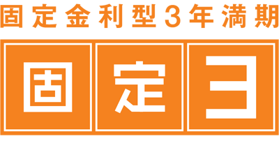 固定3