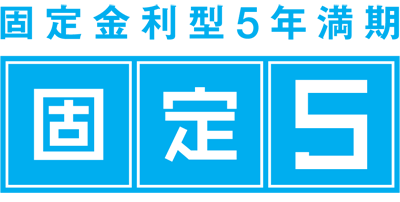 固定5