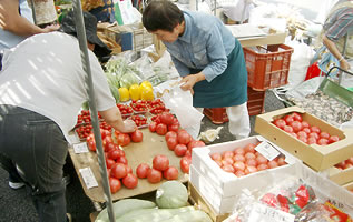 イメージ：宮川朝市