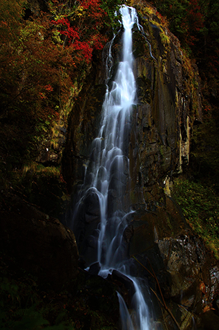 イメージ：秋の大倉滝