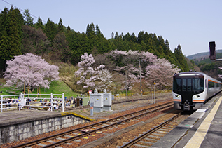 イメージ：臥龍桜と電車