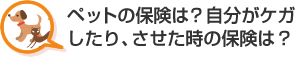 ペットの保険は？自分がケガしたり、させた時の保険は？ 