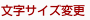 文字サイズの変更