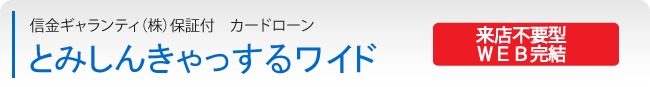 とみしんきゃっするワイド