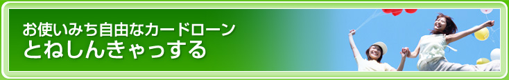 お使いみち自由なカードローン とねしんきゃっする500