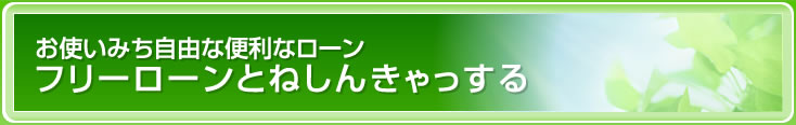 お使いみち自由なカードローン とねしんきゃっする