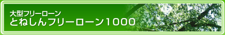 大型フリーローン　とねしんフリーローン1000