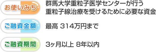【お使いみち】群馬大学重粒子医学センターが行う重粒子線治療を受けるために必要な資金 【ご融資金額】最高314万円まで 【ご融資期間】3ヶ月以上8年以内