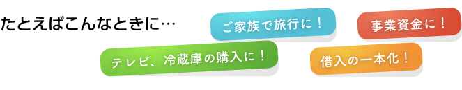 たとえばこんなときに…テレビ、冷蔵庫の購入に！ご家族で旅行に！借入の一本化！事業資金