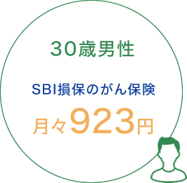 30歳男性 SBI損保のがん保険 月々923円