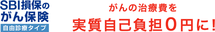 SBI損保のがん保険 がんの治療費を実質自己負担0円に！