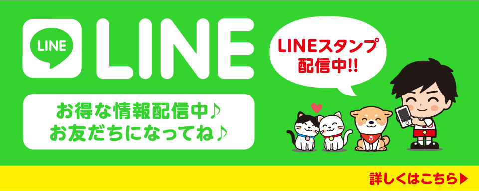 LINEスタンプ配信中!!